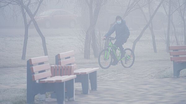 Мальчик едет на велосипеде в тумане - Sputnik Қазақстан