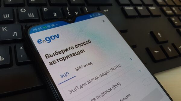 Мобильное приложение Электронного правительства - Sputnik Казахстан