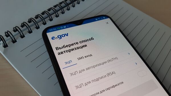 Мобильное приложение Электронного правительства - Sputnik Казахстан