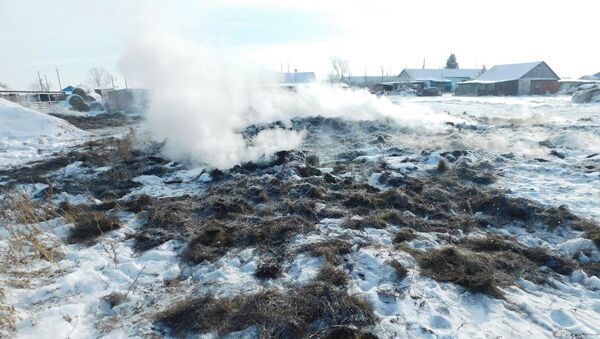 Двое мужчин из неприязни сожгли 25 тонн сена в Северном Казахстане - Sputnik Казахстан