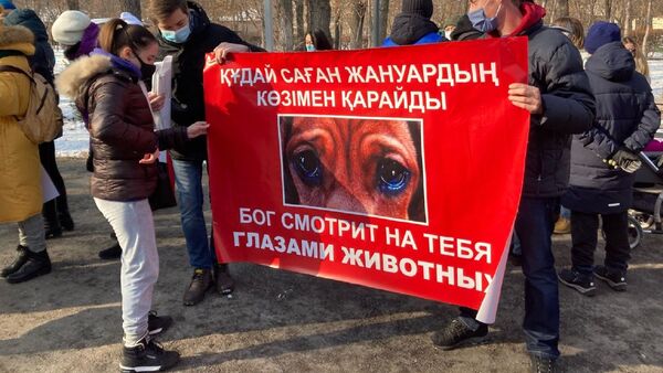 Молчаливый митинг против жестокого обращения с животными - Sputnik Казахстан