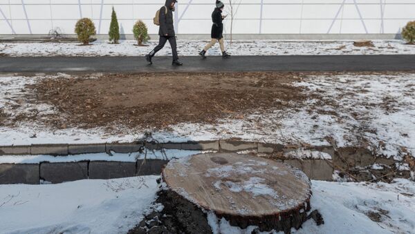 Деревья вырубили возле Sulpak в Алматы - Sputnik Казахстан