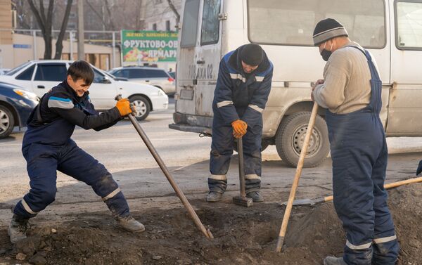 Акция по посадке деревьев взамен вырубленных у известного магазина электроники - Sputnik Казахстан