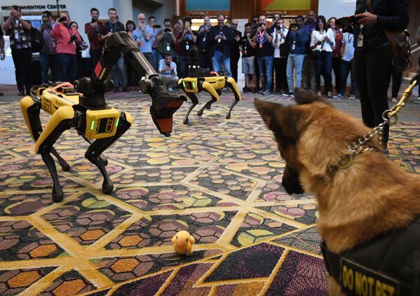 Роботы-собаки Spot от компании Boston Dynamics на конференции Amazon Re: MARS в Лас-Вегасе, 2019 год - Sputnik Казахстан