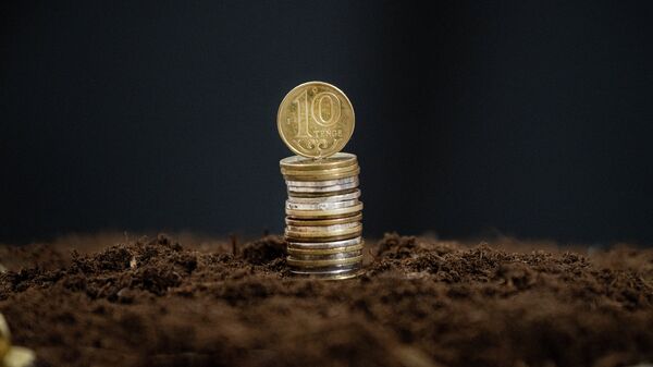 Монеты, земля, иллюстративное фото  - Sputnik Казахстан