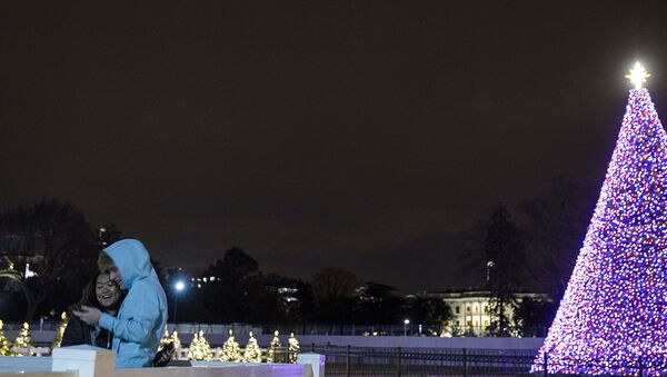 Рождественская ель в парке Эллипс в Вашингтоне, США - Sputnik Казахстан