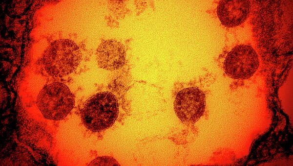 Клетка человека, заразившегося коронавирусом, под микроскопом  - Sputnik Қазақстан