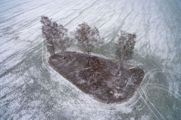 Снегопад на поле с озимыми культурами в Новосибирской области - Sputnik Казахстан