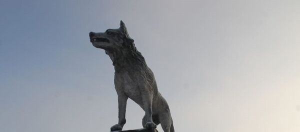 Статуя волка в Карагандинской области - Sputnik Казахстан