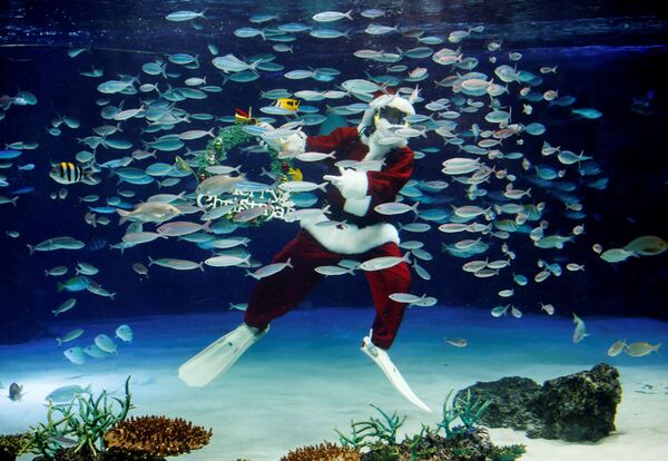 Дайвер в костюме Санта-Клауса в Sunshine Aquarium в Токио - Sputnik Казахстан