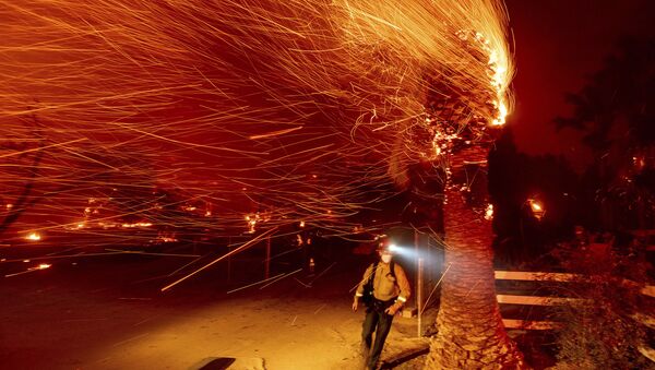 Пожарный проходит мимо горящего дерева во время тушения пожара в общине Сильверадо в Калифорнии - Sputnik Казахстан