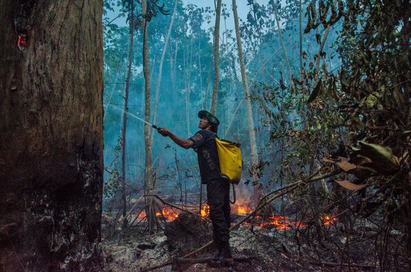 Тушение лесных пожаров в Бразилии - Sputnik Казахстан