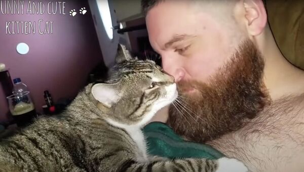 У кошек есть особые способы сказать «Я ЛЮБЛЮ ТЕБЯ» - милый момент, когда кошка выражает любовь своему хозяину  - Sputnik Қазақстан