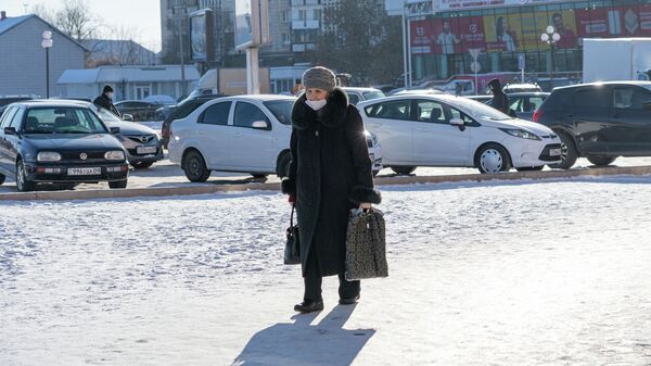 Пожилая женщина с сумками - Sputnik Казахстан