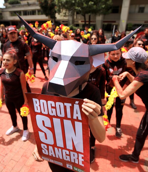 Участник акции протеста против сезона корриды в Боготе, Колумбия - Sputnik Казахстан