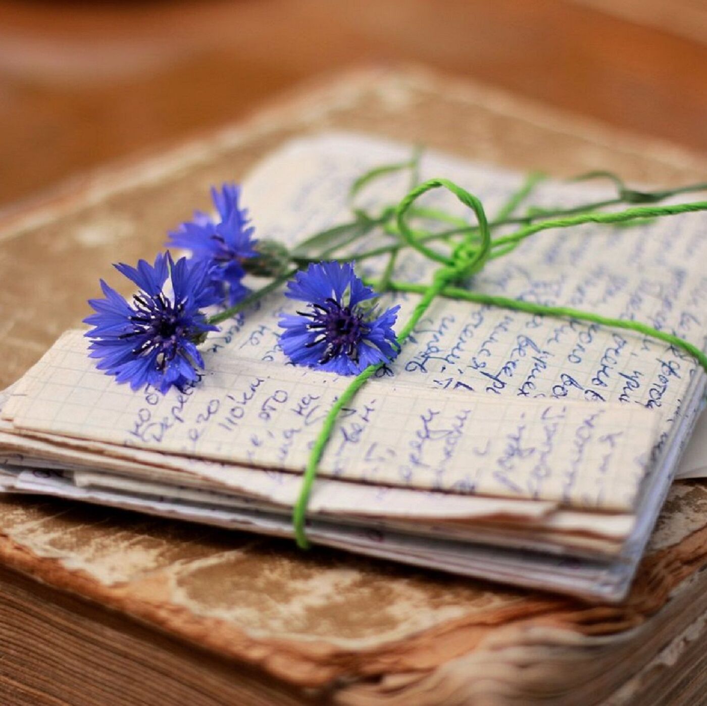 Ванесса Уильямстың жалаңаш суреттері