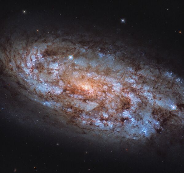 Көгершін шоқжұлдызындағы NGC 1792 галактикасының суреті - Sputnik Қазақстан