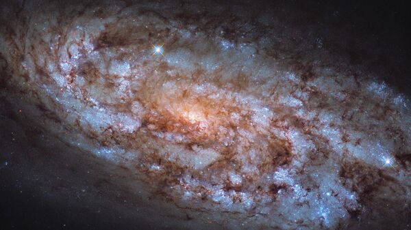 Жұлдыздар шоғы - Sputnik Қазақстан