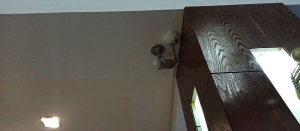 На одном из участков в Нур-Султане заклеили камеры На одном из участков в Нур-Султане заклеили камеры - Sputnik Казахстан