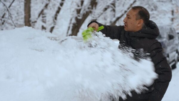 Снегопад в Алматы  - Sputnik Казахстан