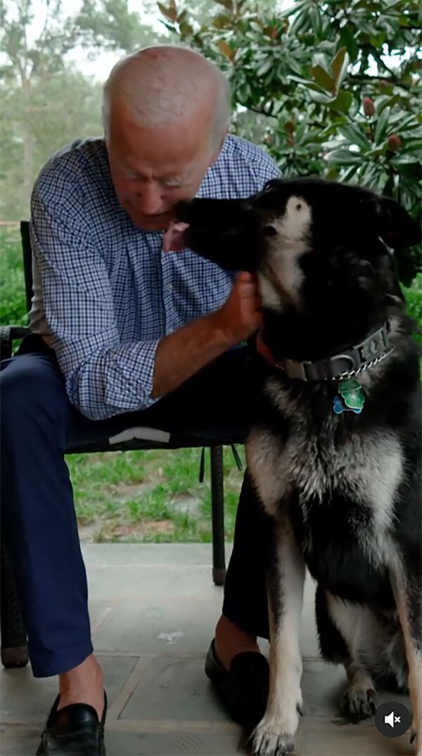 Избранный президент США Джо Байден со своей собакой по кличке Мейджор - Sputnik Казахстан
