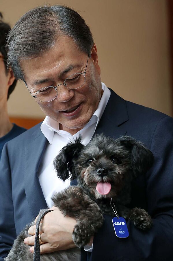 Президент Республики Корея Мун Чжэ Ин со своей собакой Тори в Сеуле - Sputnik Казахстан