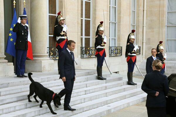 Президент Франции Эммануэль Макрон  выходит из Елисейского дворца в Париже в сопровождении собаки по имени Немо - Sputnik Казахстан