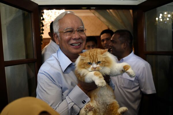 Премьер-министр Малайзии Наджиб Разак позирует со своей кошкой Кики в своей резиденции в Куала-Лумпуре - Sputnik Казахстан
