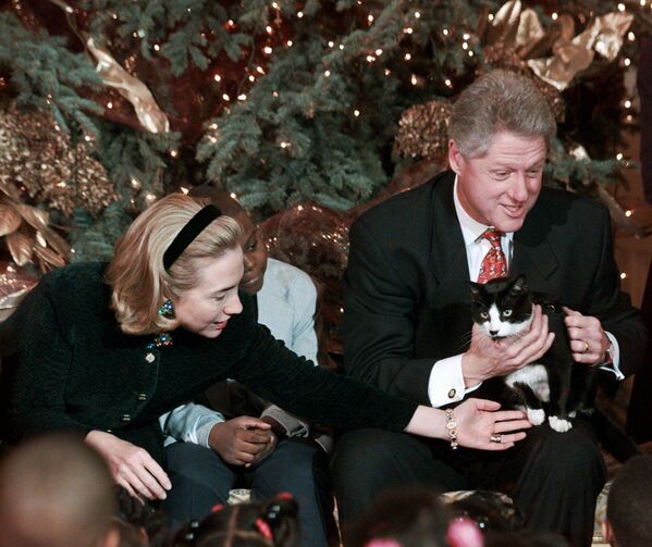 Президент Билл Клинтон и его жена с кошкой Сокс в Белом доме, 1996 год - Sputnik Казахстан