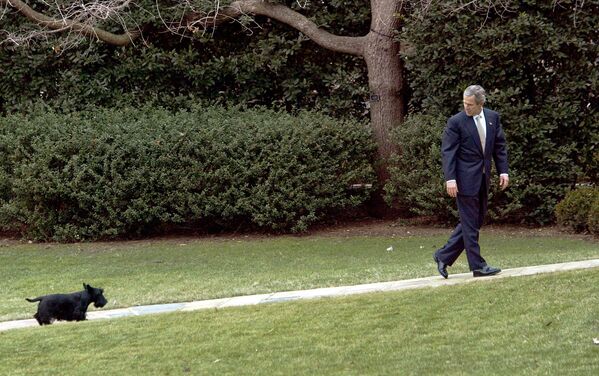 Президент США Джордж Буш со своей собакой Барни в Белом доме, 2003 год - Sputnik Казахстан