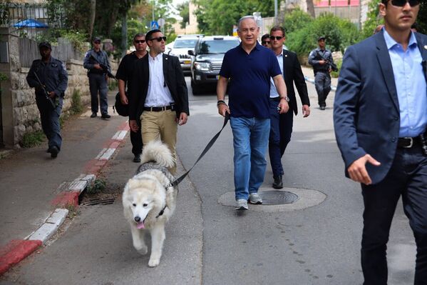Премьер-министр Израиля Биньямин Нетаньяху со своей собакой по кличке Кайя - Sputnik Казахстан