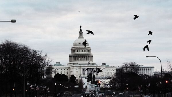 Птицы летают над зданием Капитолия США 17 января 2021 года в Вашингтоне, архивное фото - Sputnik Казахстан