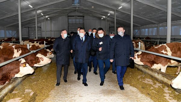 Аскар Мамин посетил новую цифровую молочно-товарную ферму ТОО Қызылжар Сүт - Sputnik Казахстан