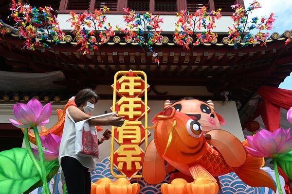 Декоративные фигурки выставлены в преддверии Китайского Лунного Нового года в китайском квартале в Сингапуре - Sputnik Казахстан
