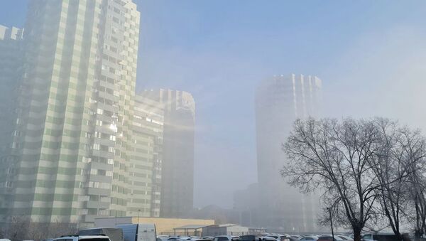 Туманное утро - Sputnik Казахстан