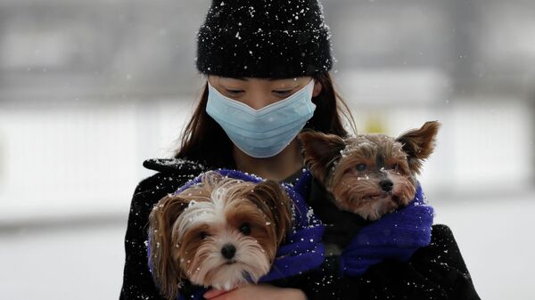 Девушка в маске с собачками под снегом  - Sputnik Казахстан