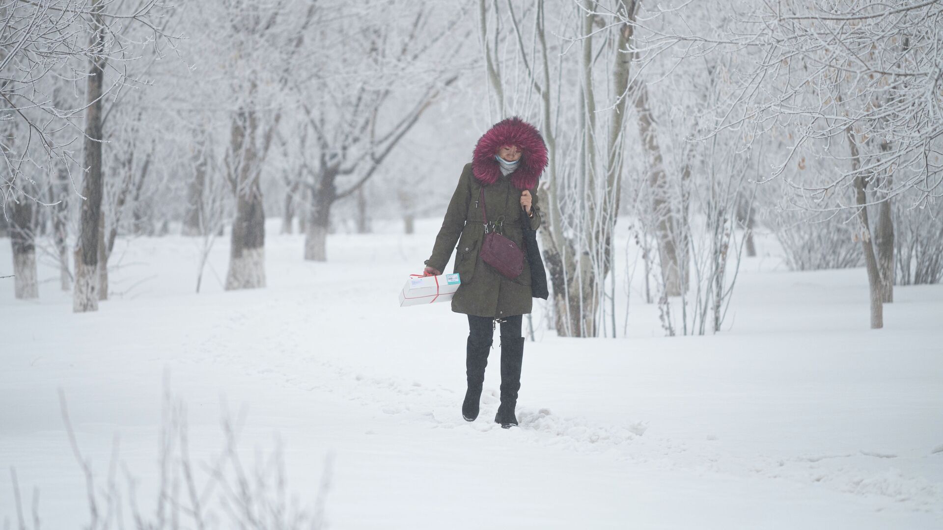 Девушка идет по дорожке в туманном парке, где деревья покрыты инеем - Sputnik Қазақстан, 1920, 05.02.2022