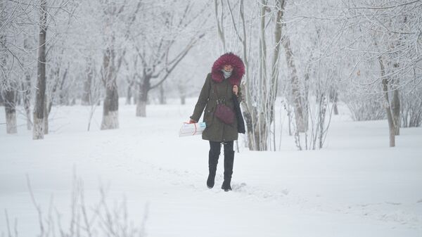 Девушка идет по дорожке в туманном парке, где деревья покрыты инеем - Sputnik Қазақстан