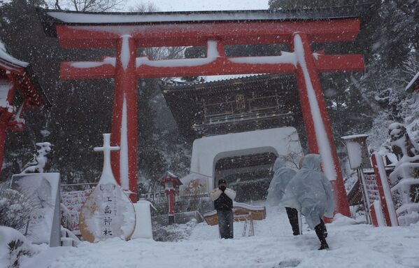 Последствия сильнейшего за 13 лет снегопада в Токио, февраль 2014 года - Sputnik Қазақстан