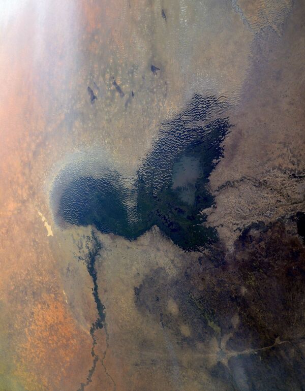 Африканское озеро Чад - Sputnik Казахстан