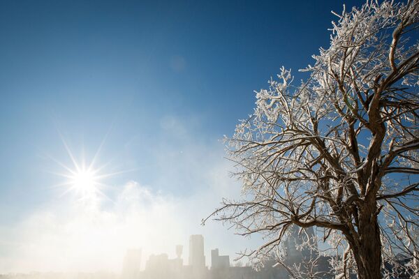 Покрытые льдом деревья в городе Ниагара-Фолс в штате Нью-Йорк  - Sputnik Казахстан