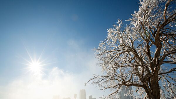Покрытые льдом деревья в городе Ниагара-Фолс в штате Нью-Йорк  - Sputnik Қазақстан