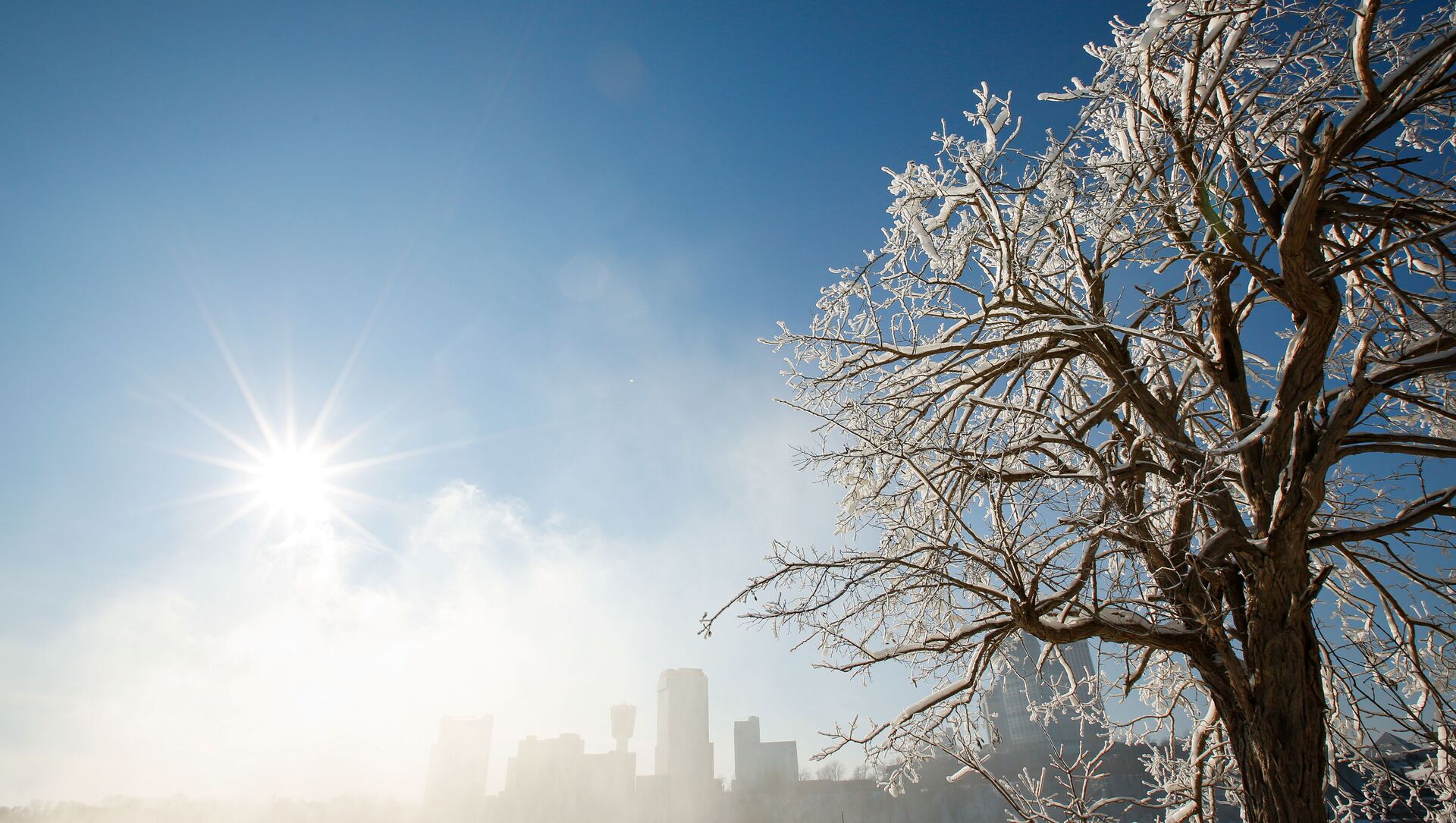 Покрытые льдом деревья в городе Ниагара-Фолс в штате Нью-Йорк  - Sputnik Қазақстан, 1920, 16.12.2021