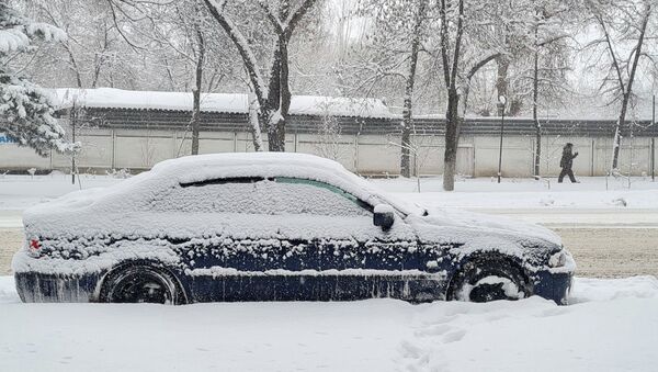 Снег в Алматы - Sputnik Казахстан