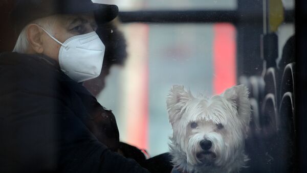 Мужчина в маске едет в автобусе с собачкой - Sputnik Казахстан