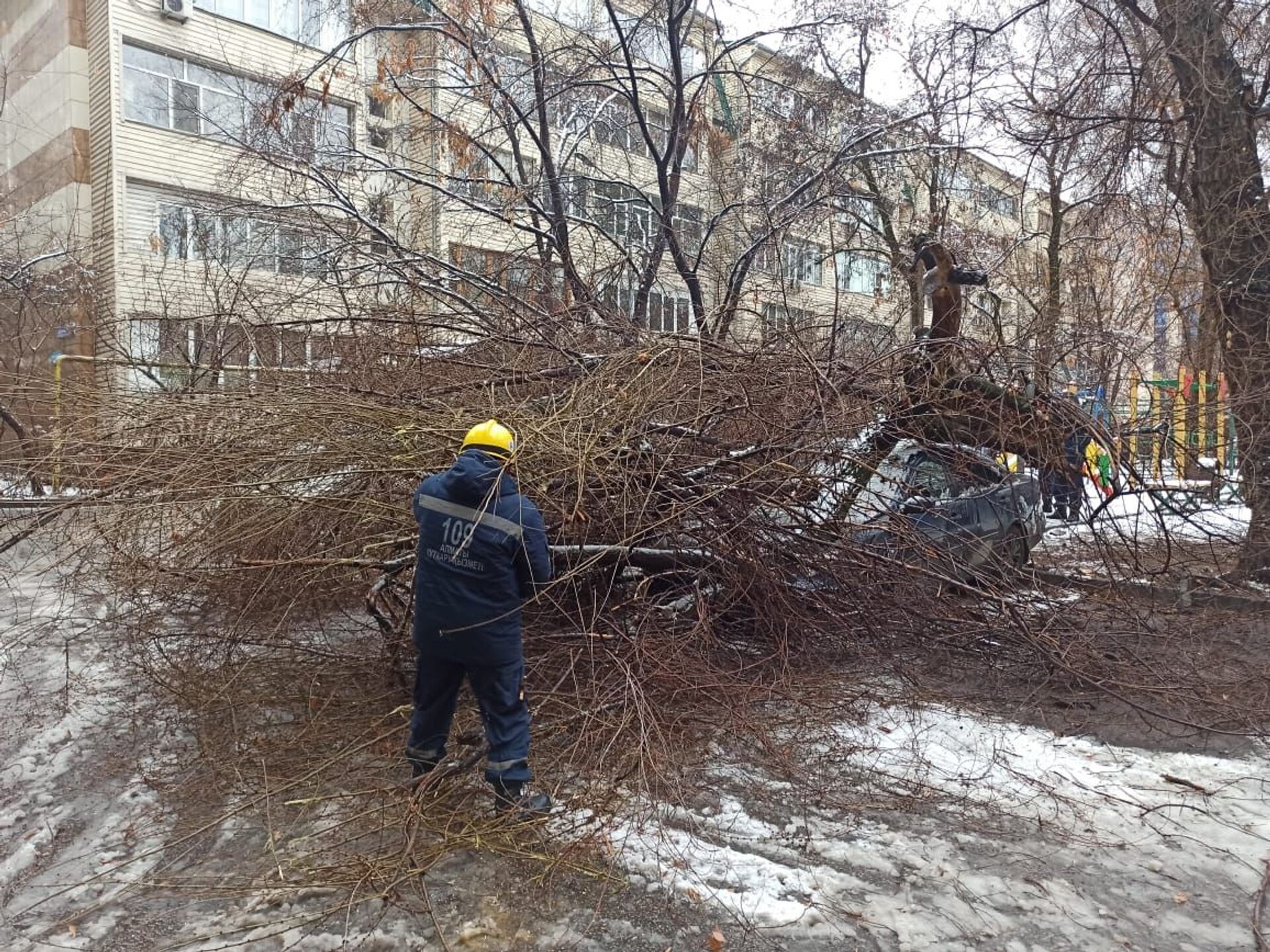 Сильный снегопад в Алматы: деревья упали на 4 автомобиля - Sputnik Казахстан, 1920, 05.03.2021