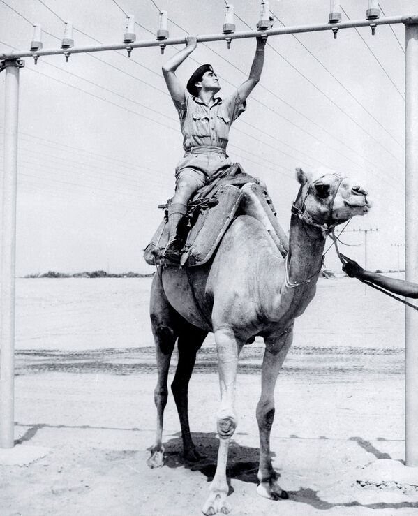 Проверяющий телефонную линию солдат на верблюде недалеко от Адена, 1962 год  - Sputnik Қазақстан