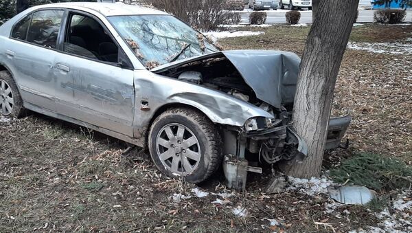 Водитель на пересечении улиц Жандосова-Берегового врезался в дерево - Sputnik Казахстан