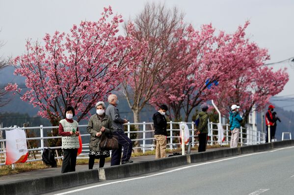 Люди под цветущей вишней во время эстафеты огня в префектуре Фукусима - Sputnik Қазақстан