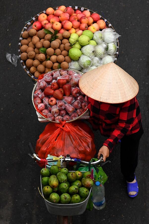 Продавец с фруктами на велосипеде в Ханое  - Sputnik Казахстан